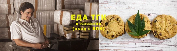 индика Зеленодольск