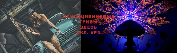 гашик Алзамай