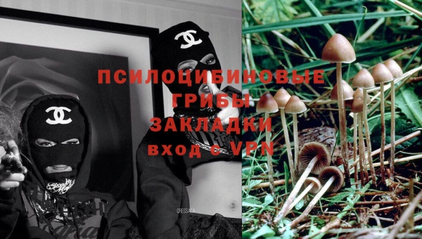 гашик Алзамай